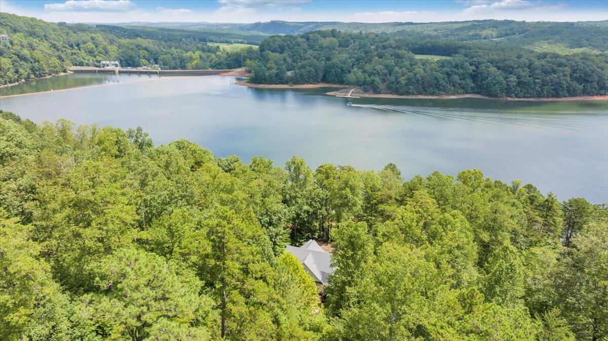 932 Clear Pointe Run Lynch Station, VA 24571 - Photo 146 of 154 Aerial