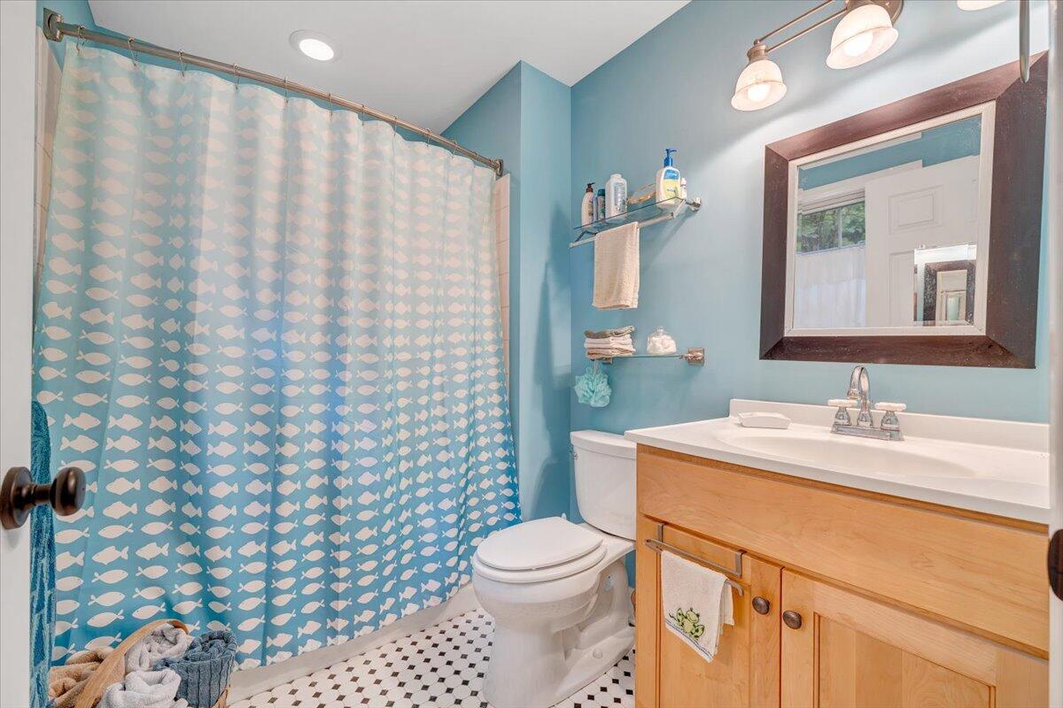 932 Clear Pointe Run Lynch Station, VA 24571 - Photo 33 of 154 a bathroom with a sink a toilet and shower curtain