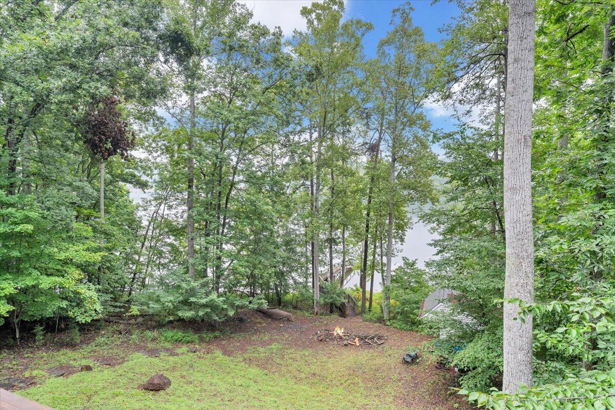 932 Clear Pointe Run Lynch Station, VA 24571 - Photo 70 of 154 a backyard of a house with lots of green space