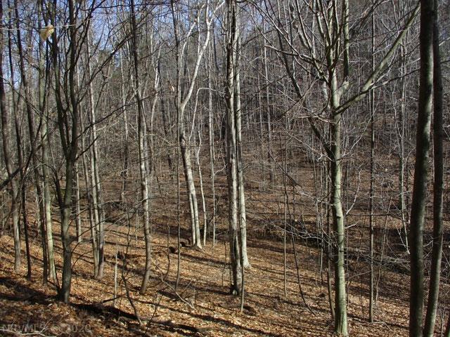 220 Bus Road Stoneville, NC 27048 - Photo 22 of 40 Gallery Image 22