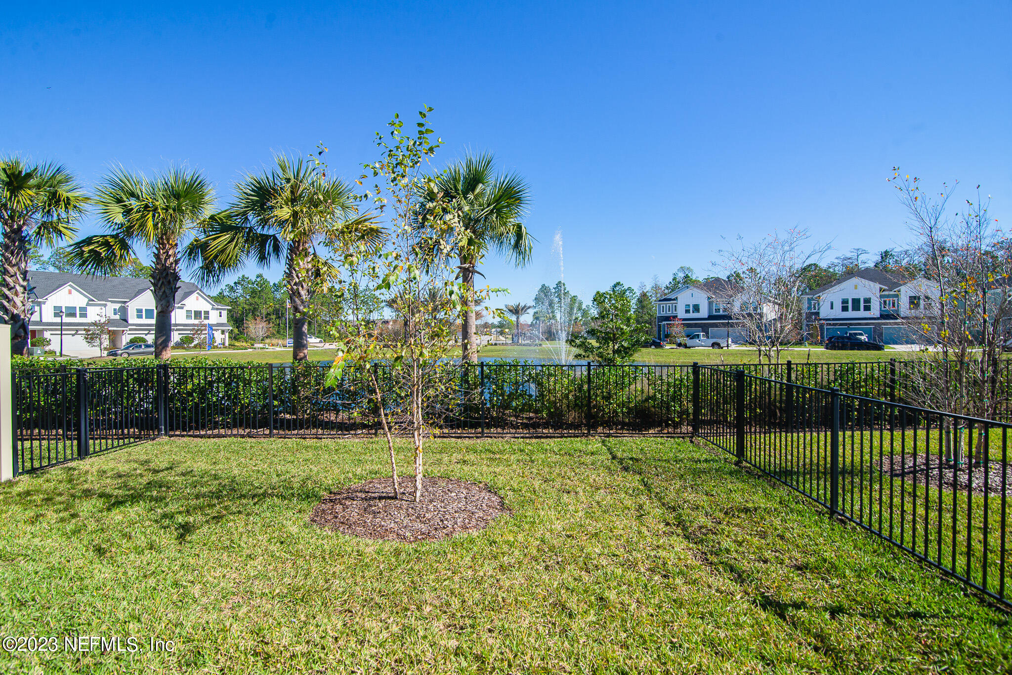 9868 Element Road Jacksonville, FL 32256 - Photo 28 of 36 a backyard of a house with palm trees