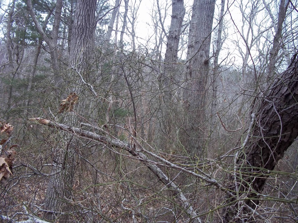 52 Lookout Point Road Plymouth, MA 02360 - Photo 6 of 22 Gallery Image 6