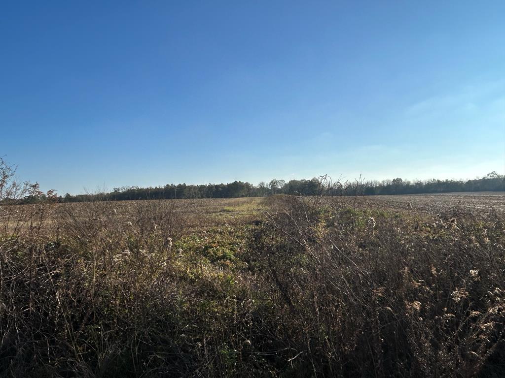 51.8-ac Hadden Road Dothan, AL 36301 - Photo 25 of 43