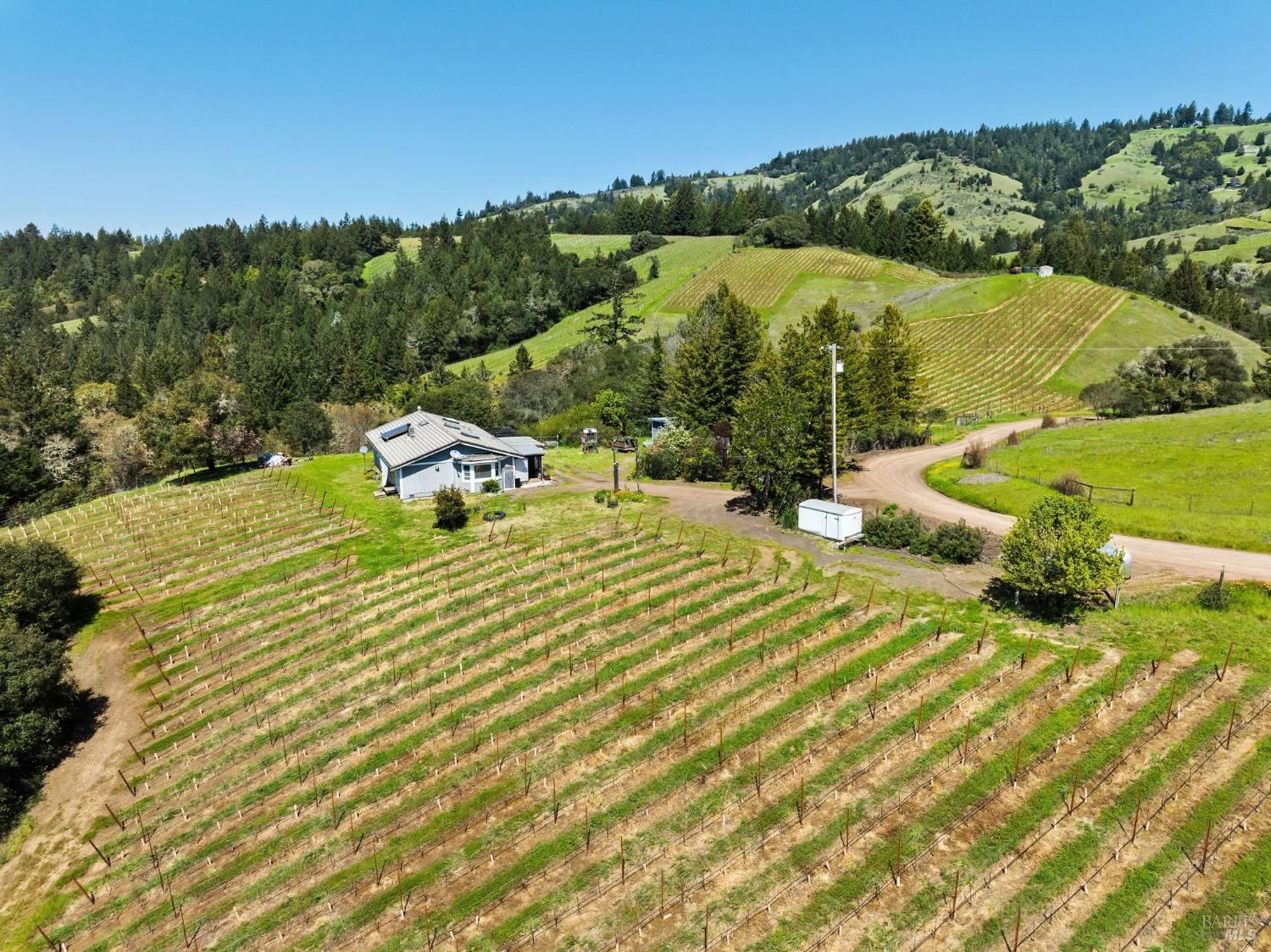 1550 Guntly Road Philo, CA 95466 - Photo 3 of 23