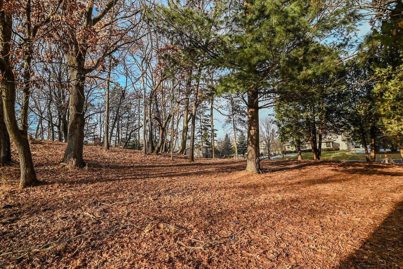 Lot 8 Diamond Windsor, WI 53598 - Photo 21 of 22