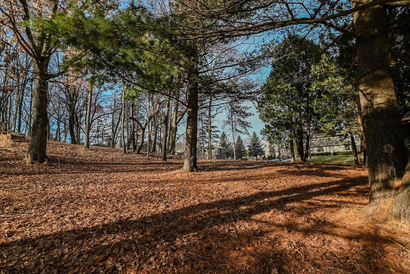 Lot 8 Diamond Windsor, WI 53598 - Photo 22 of 22