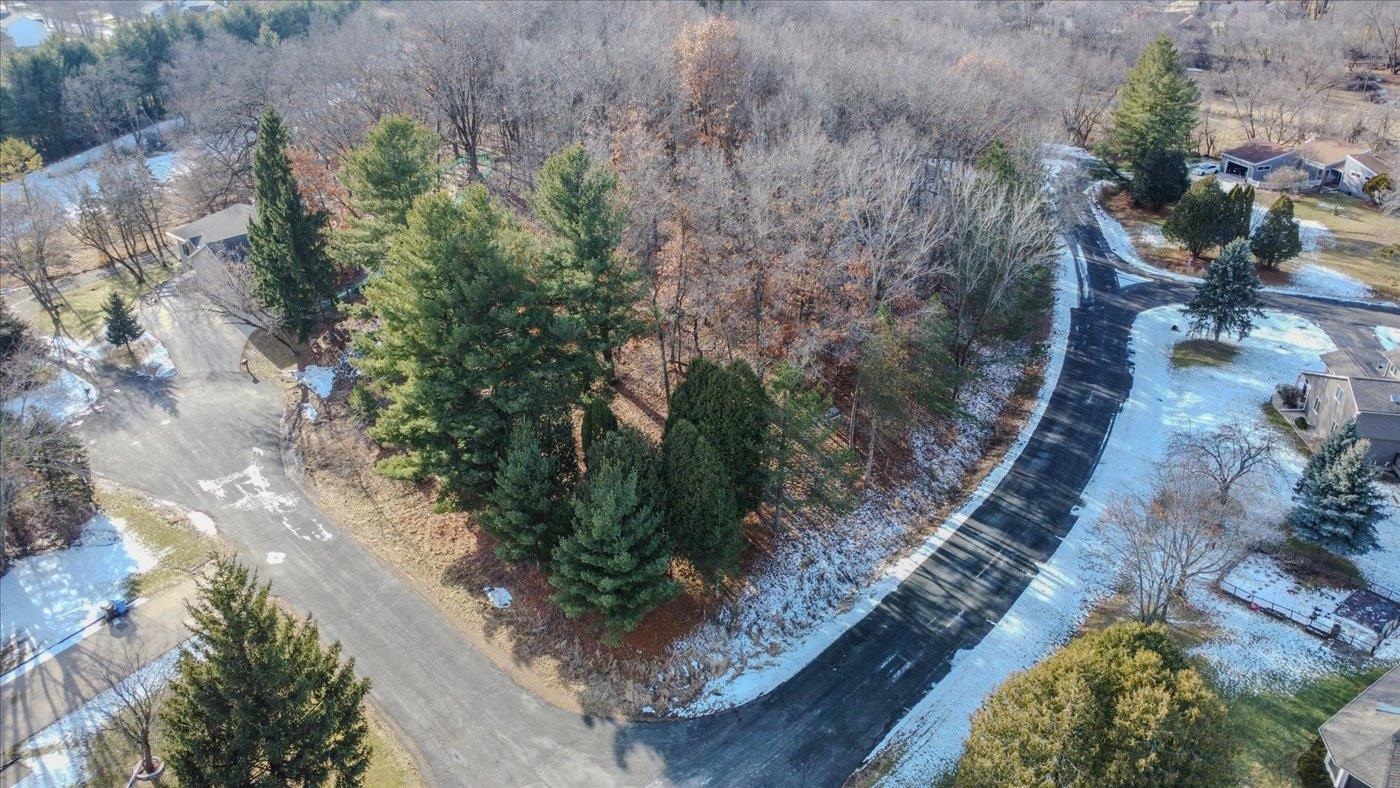 Lot 8 Diamond Windsor, WI 53598 - Photo 4 of 22