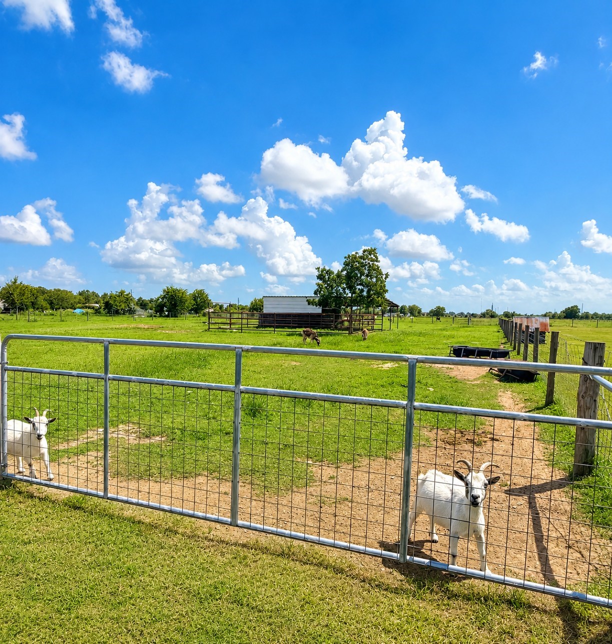 18318 Brumbelow Road Needville, TX 77461 - Photo 28 of 33