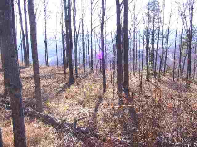 Lot 64 Hardy Ridge Way, Unit CLIFFS VALLEY SECTION J Travelers Rest, SC 29690 - Photo 8 of 9 Gallery Image 8