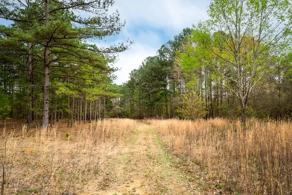 $450,000 | 0 May Royal Drive, Aiken, SC 29801