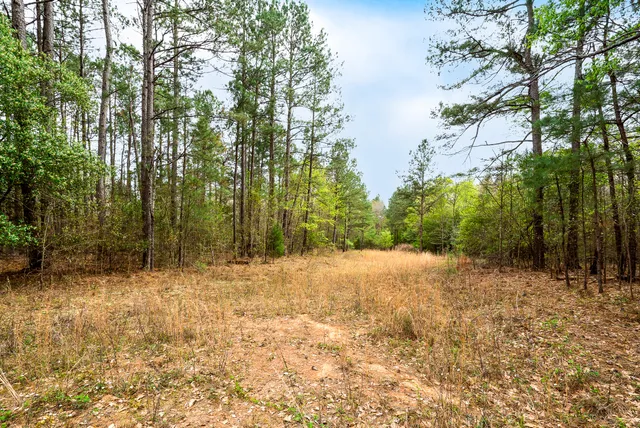 $450,000 | 0 May Royal Drive, Aiken, SC 29801
