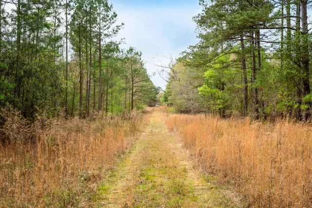 $450,000 | 0 May Royal Drive, Aiken, SC 29801