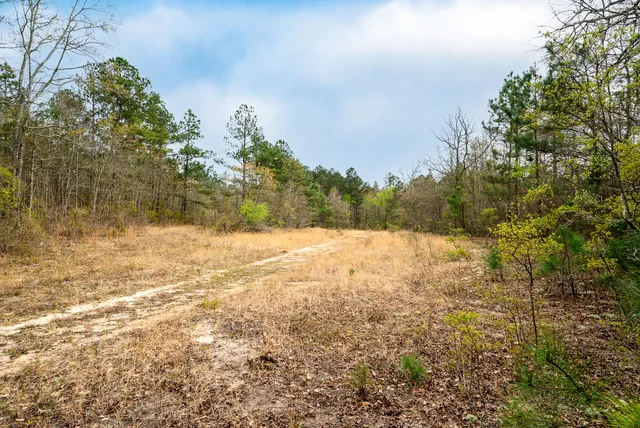 $450,000 | 0 May Royal Drive, Aiken, SC 29801