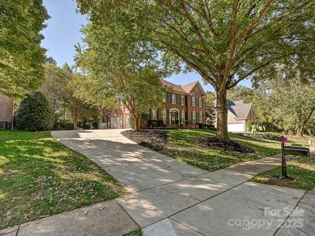 a view of street with large trees