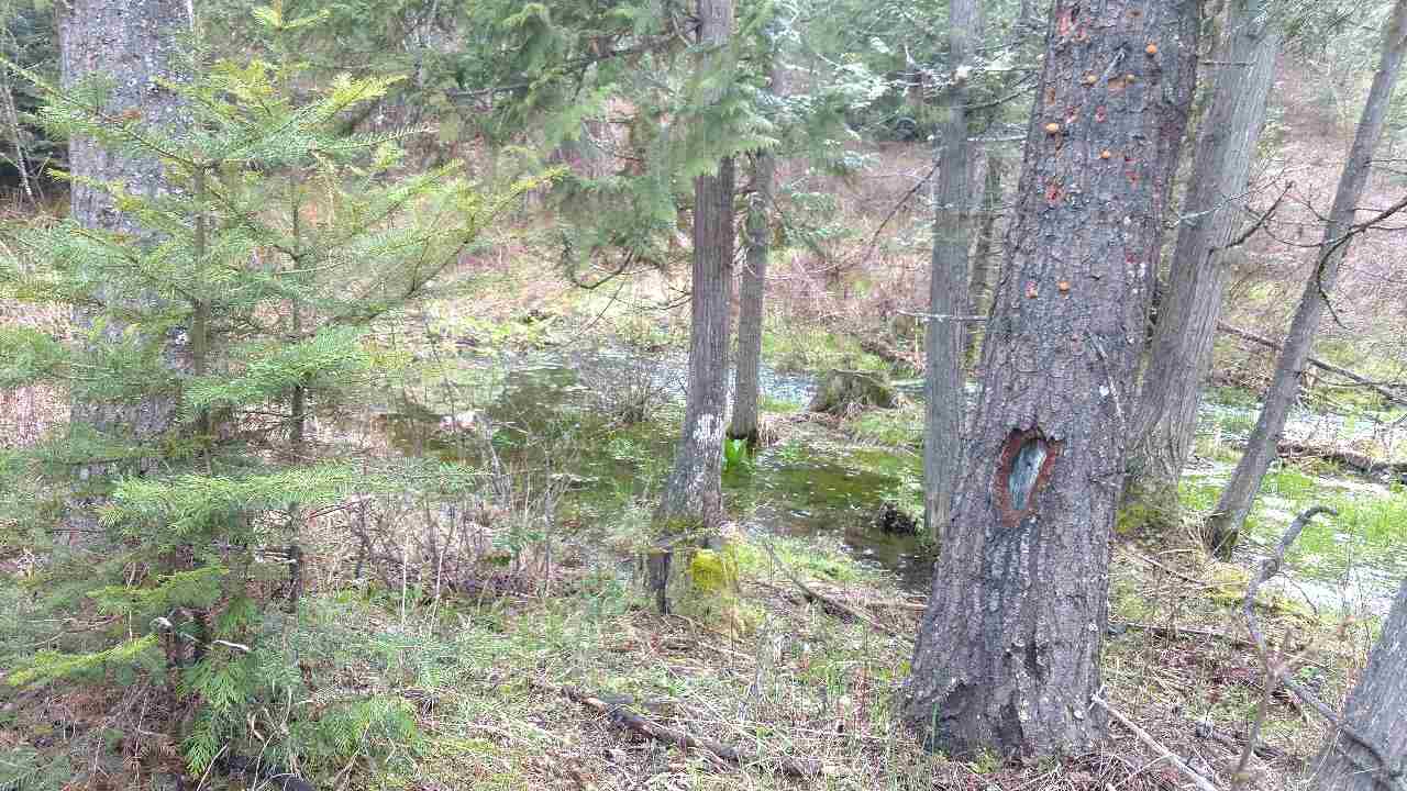 3432 C Hoag Road Valley, WA 99181 - Photo 1 of 9 Gallery Image 1