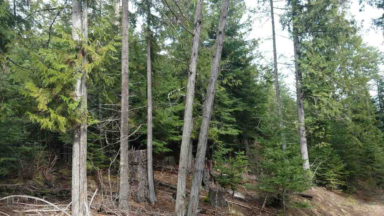 3432 C Hoag Road Valley, WA 99181 - Photo 2 of 9 Gallery Image 2