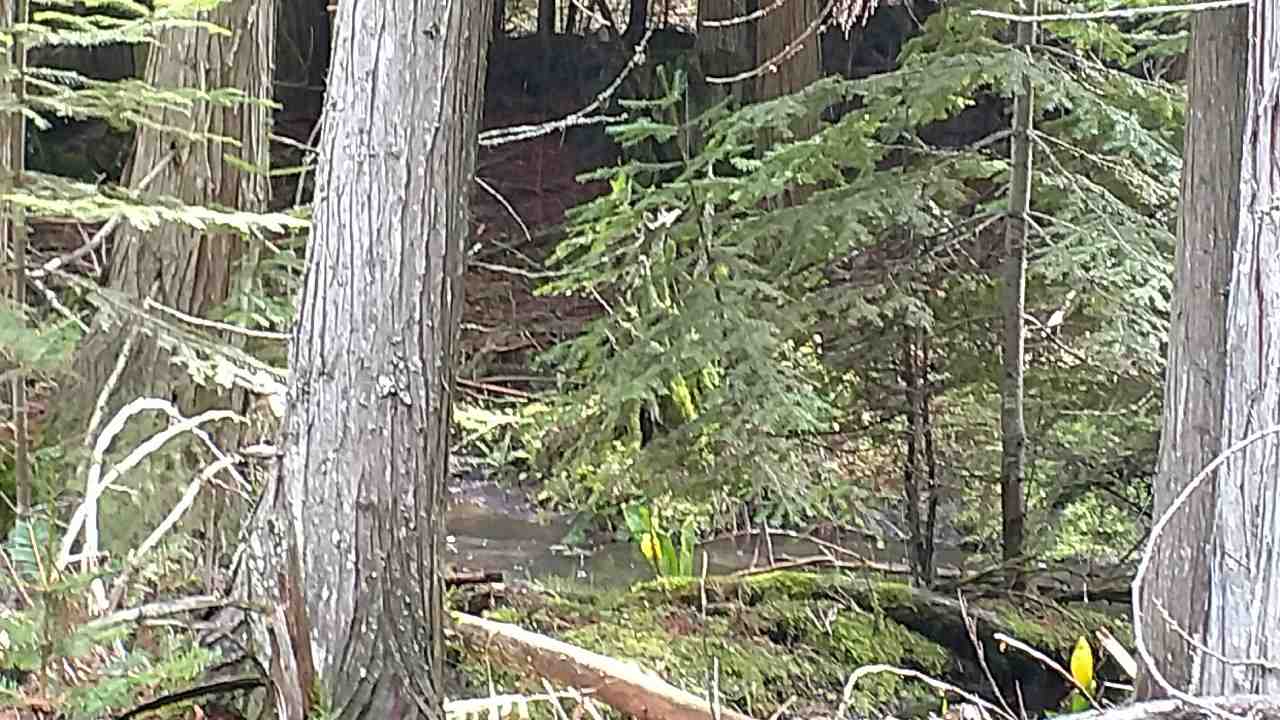 3432 C Hoag Road Valley, WA 99181 - Photo 3 of 9 Gallery Image 3