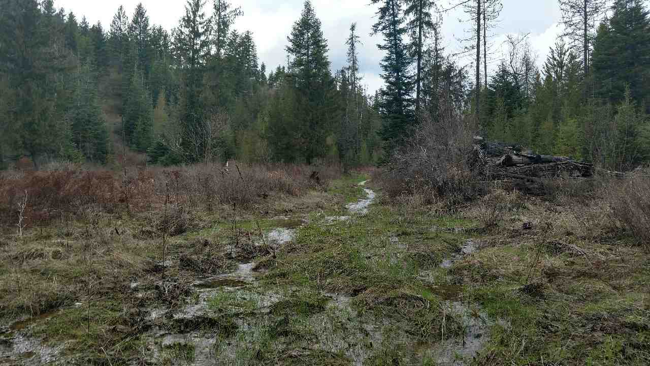 3432 C Hoag Road Valley, WA 99181 - Photo 7 of 9 Gallery Image 7