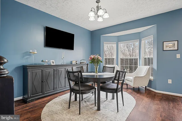 a dining room with furniture a rug a potted plant and a chandelier