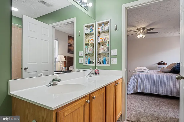 a view of a park with large tree