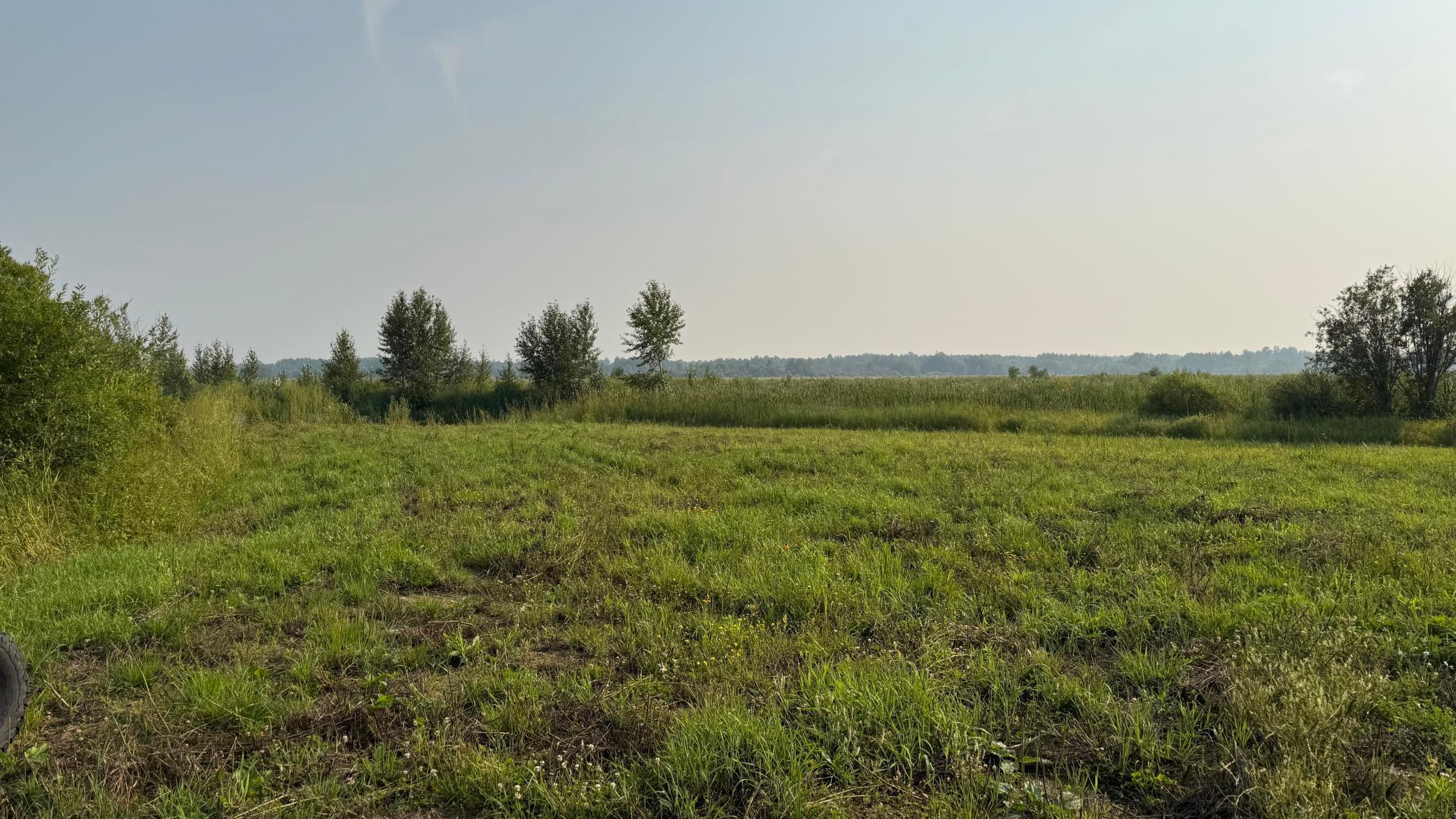 Tbd5 Sunflower Road Northeast Kelliher, MN 56650 - Photo 8 of 23