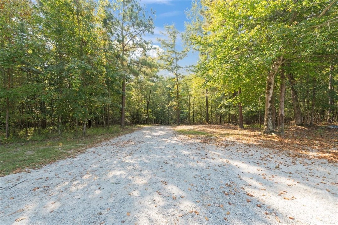 1750 Reids Ferry Road Buckhead, GA 30625 - Photo 36 of 56 Gallery Image 36
