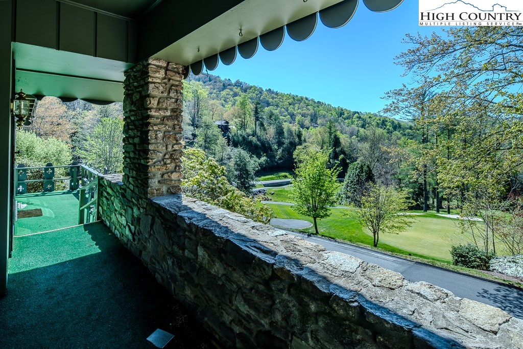 122 Hornbeam Road Boone, NC 28607 - Photo 25 of 28 a view of a yard with plants