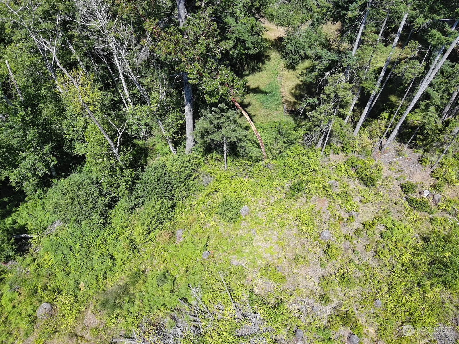 106-lot Hazel Point Road Quilcene, WA 98376 - Photo 2 of 7 Gallery Image 2