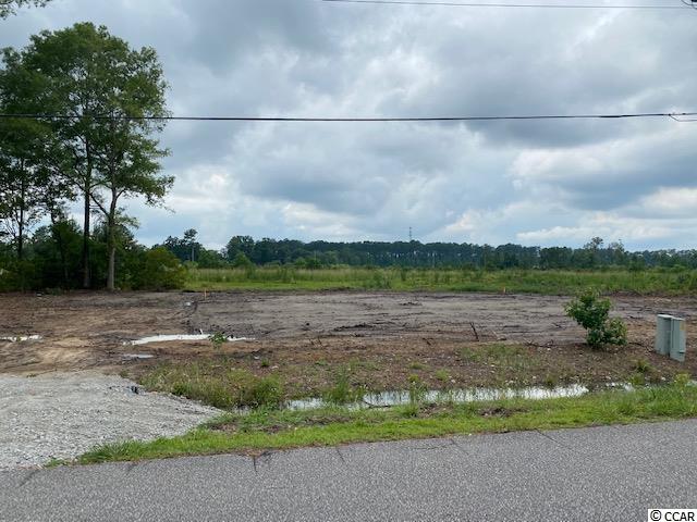 2613 Graham Road Conway, SC 29526 - Photo 2 of 2 Gallery Image 2