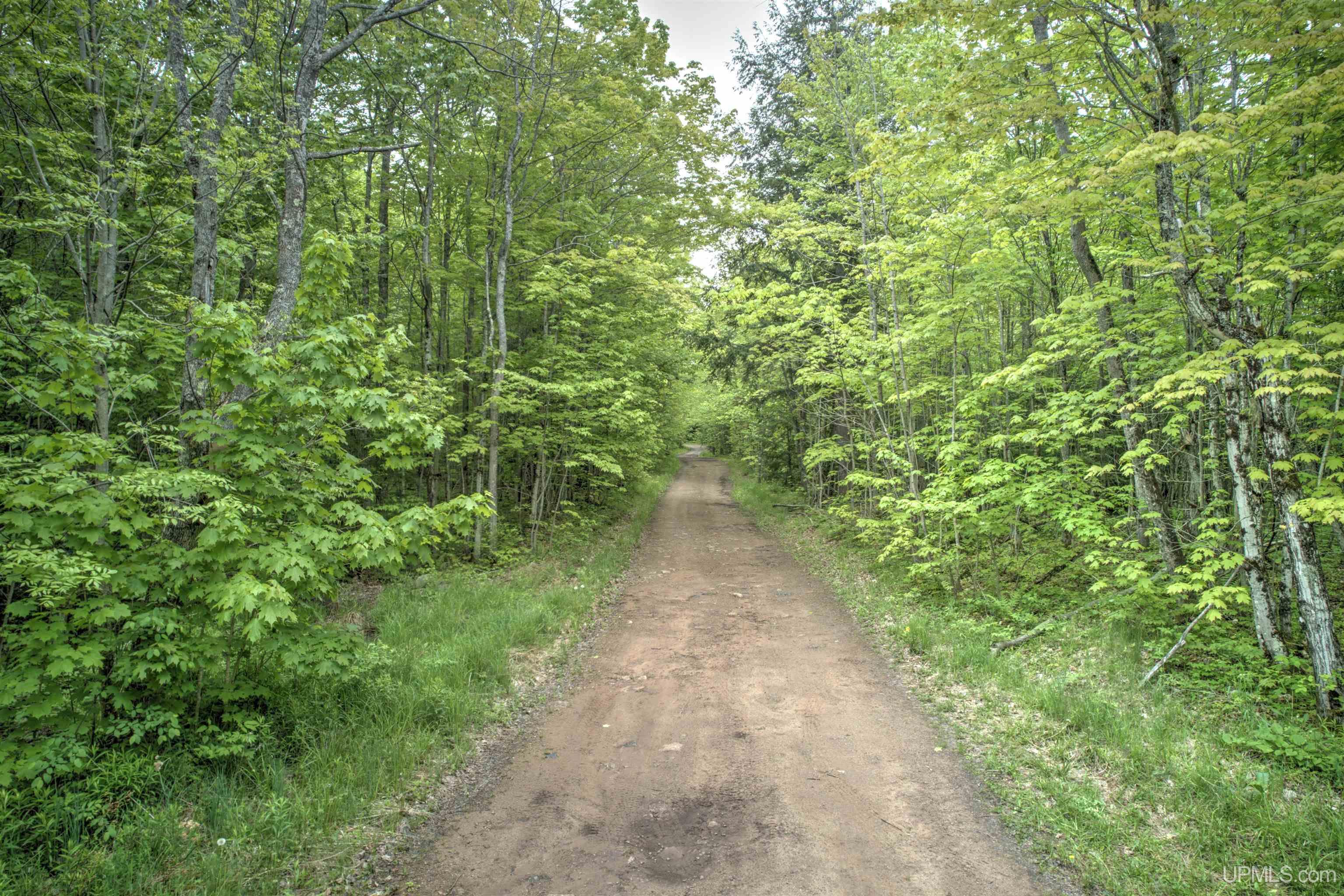 Tbd Tbd Segan Road Marquette, MI 49855 - Photo 2 of 21