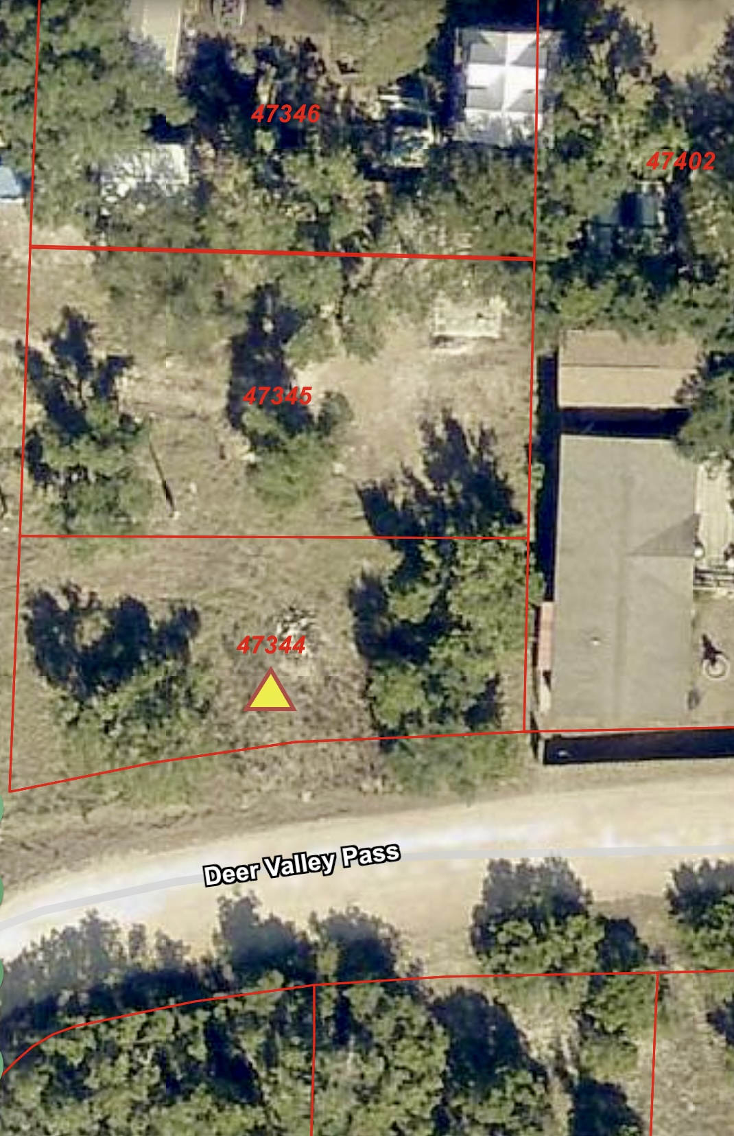 1315 Deer Valley Pass Spring Branch, TX 78070 - Photo 2 of 2 a picture of flowers