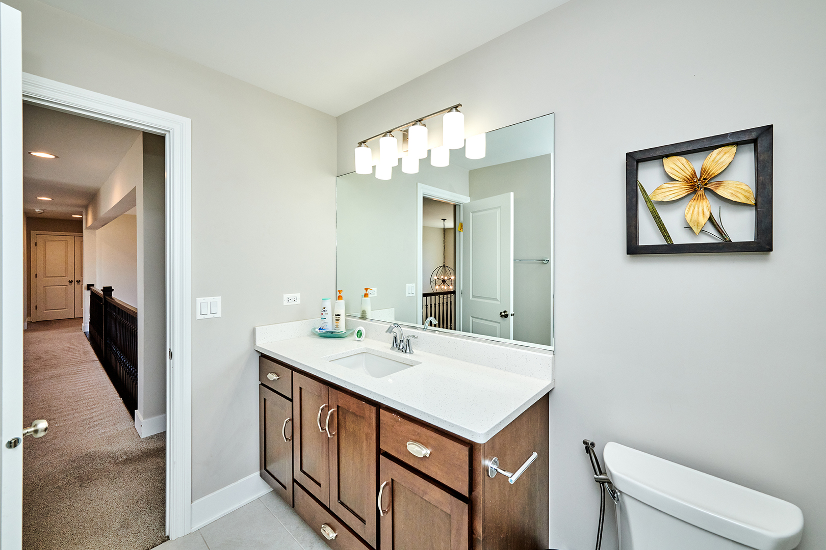 4311 Carpenter Road Naperville, IL 60564 - Photo 37 of 51 Gallery Image 37