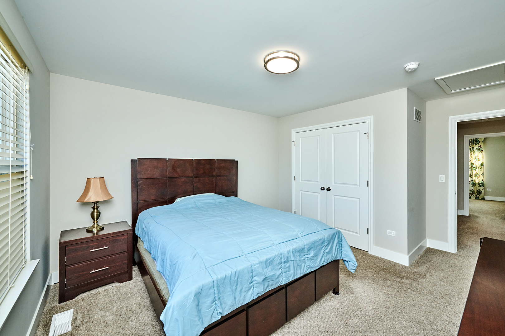 4311 Carpenter Road Naperville, IL 60564 - Photo 38 of 51 Gallery Image 38
