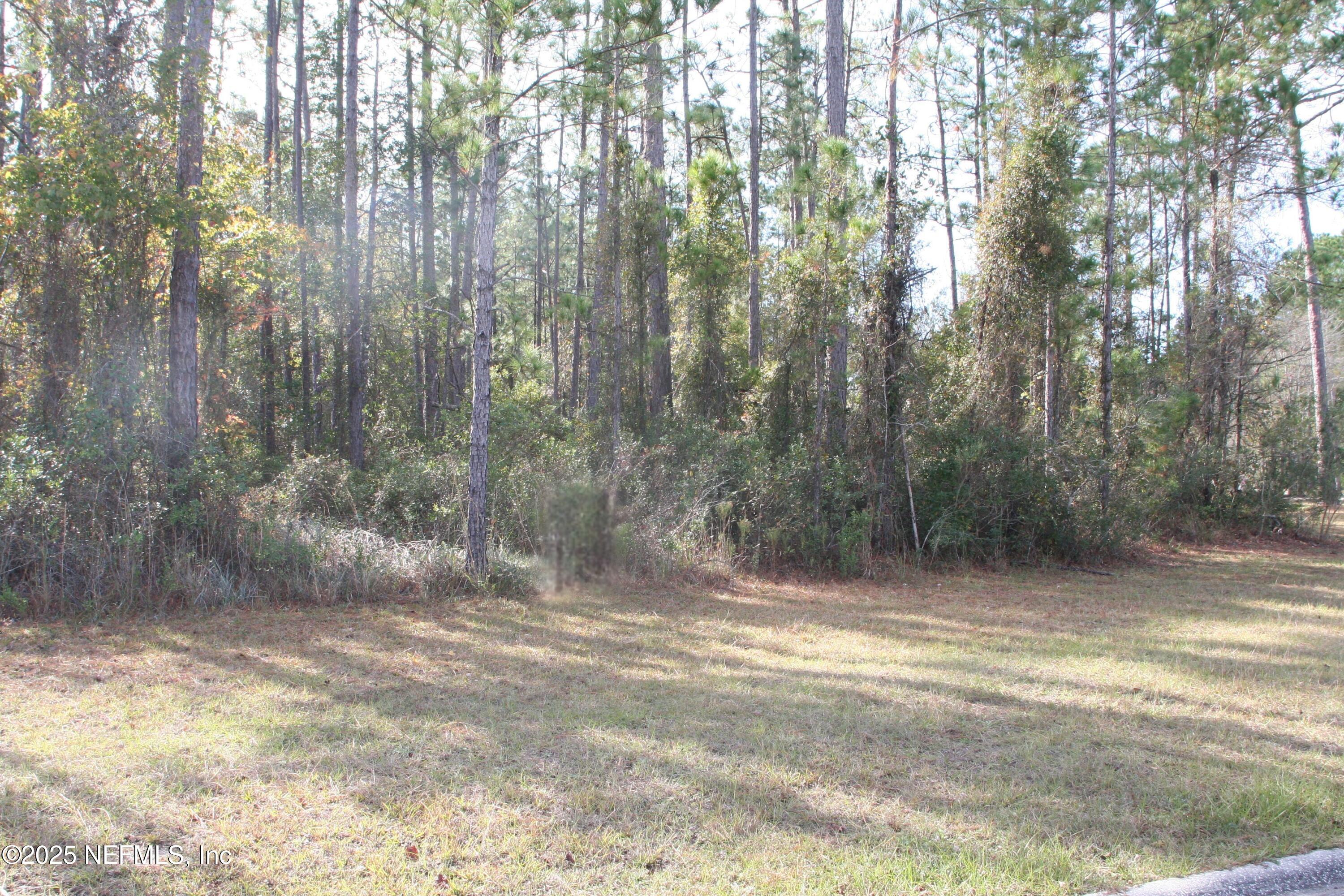 0 South Flora Springs Road South Jacksonville, FL 32219 - Photo 7 of 8 From Street View