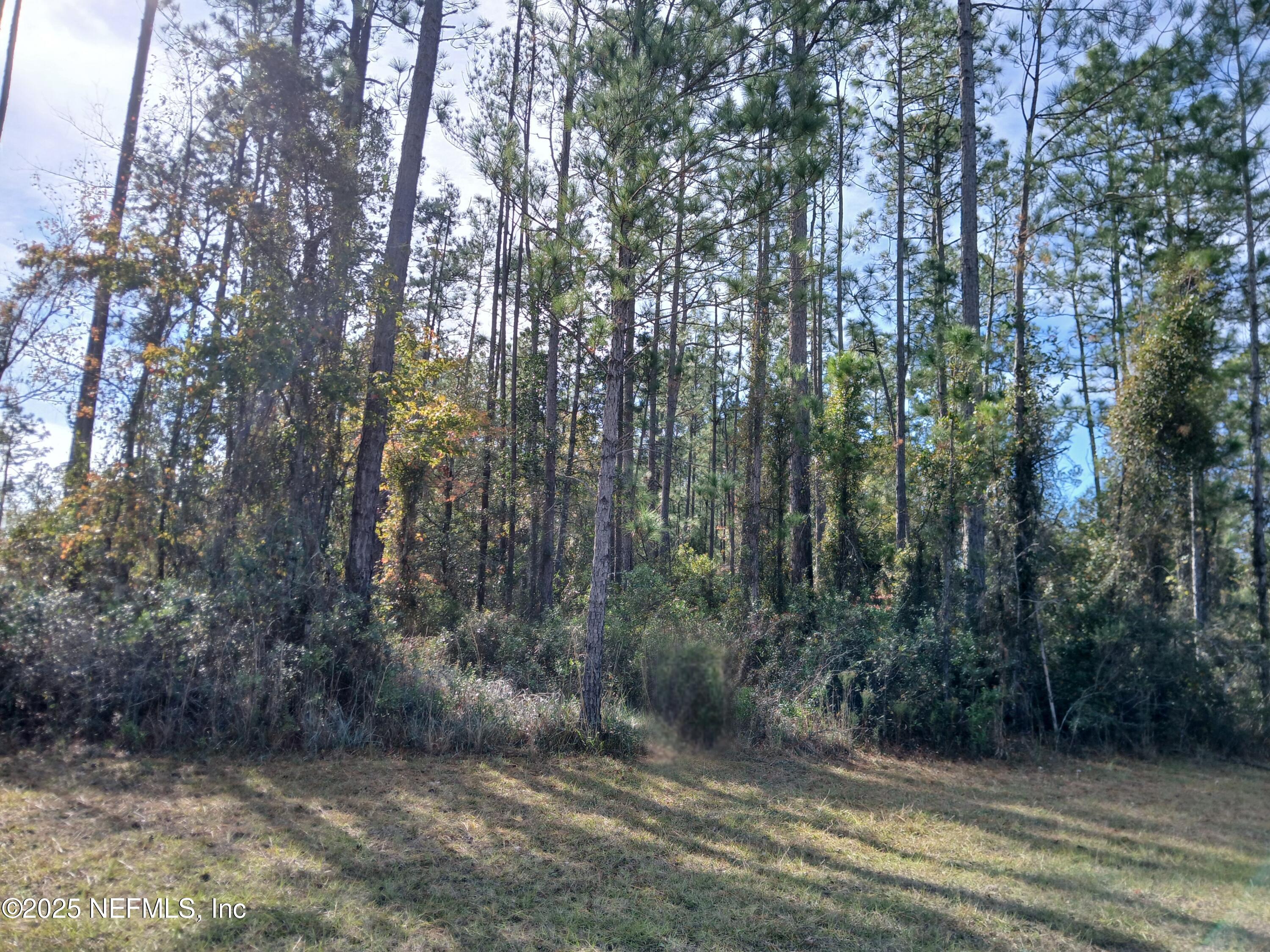 0 South Flora Springs Road South Jacksonville, FL 32219 - Photo 8 of 8 Street View