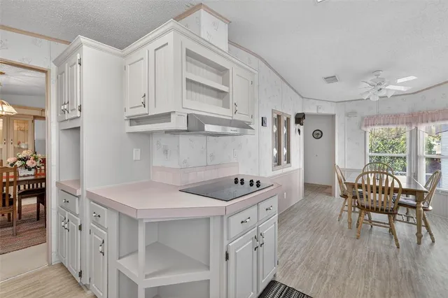 $224,900 | 3117 Manatee Road, Tavares, FL 32778