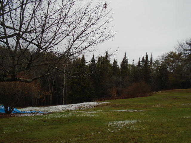 140-142 Alna Road Wiscasset, ME 04578 - Photo 57 of 59 yard