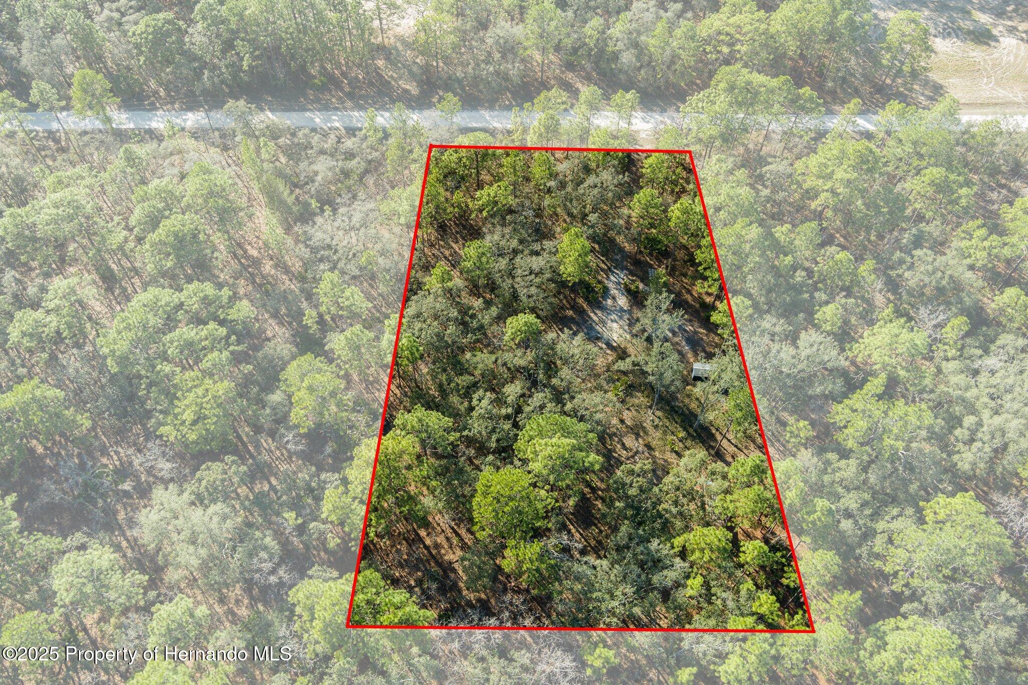 16046 Magpie Road Brooksville, FL 34614 - Photo 8 of 17