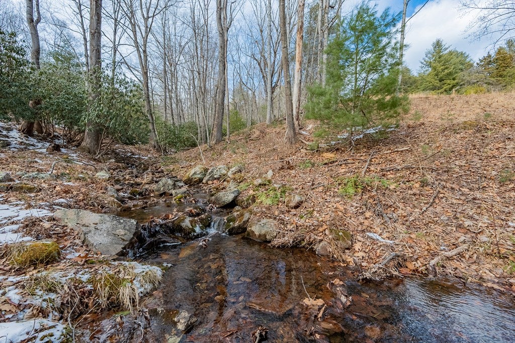 Tbd Spur Branch Road, Unit 4 Dublin, VA 24084 - Photo 20 of 85 Gallery Image 20