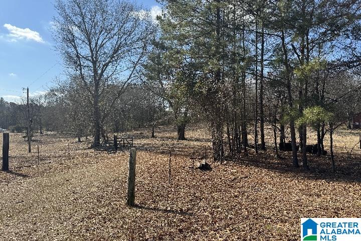 1036 Rushing Springs Road Lincoln, AL 35096 - Photo 12 of 58