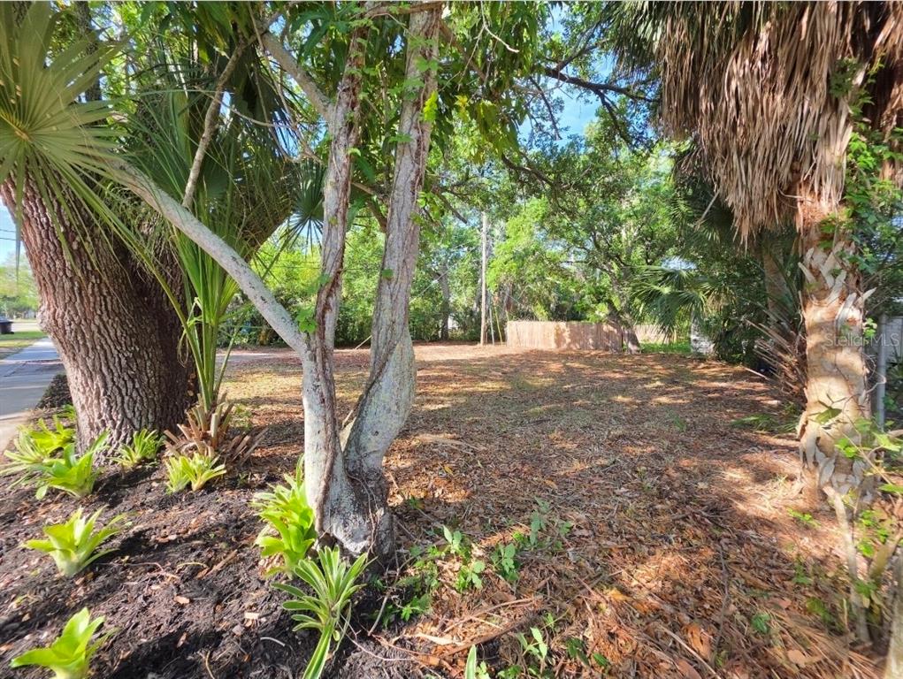 2715 5th Street South St. Petersburg, FL 33705 - Photo 1 of 40