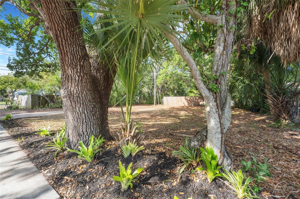2715 5th Street South St. Petersburg, FL 33705 - Photo 19 of 40