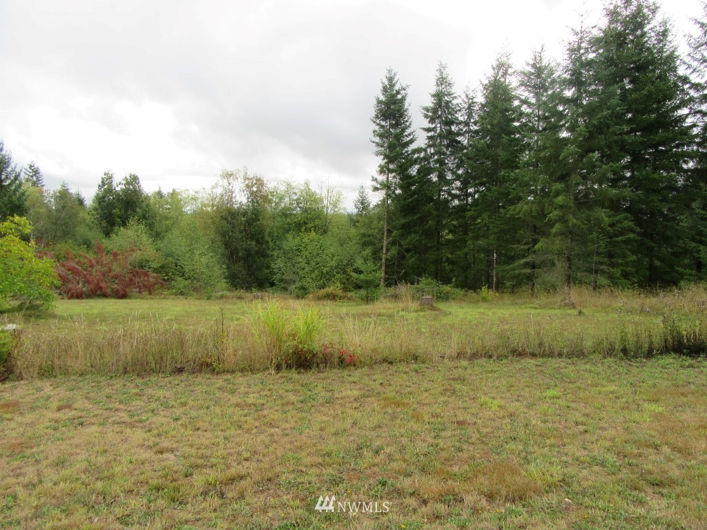 Xxx-tbd Silverthistle Road Winlock, WA 98596 - Photo 2 of 10