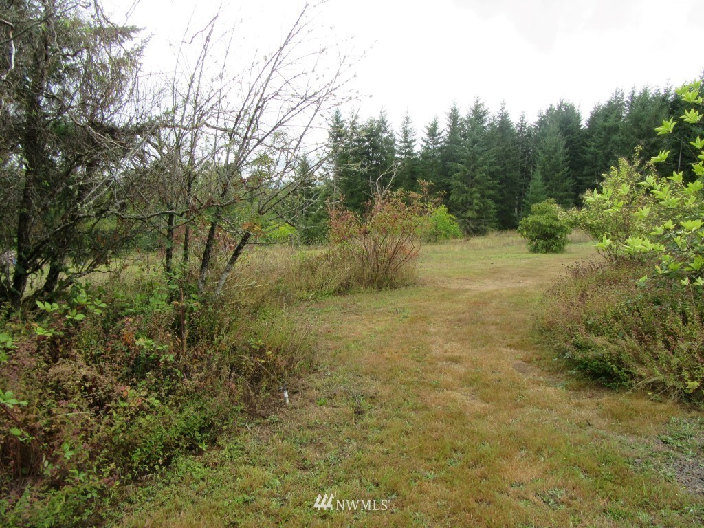 Xxx-tbd Silverthistle Road Winlock, WA 98596 - Photo 3 of 10