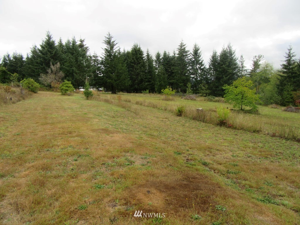 Xxx-tbd Silverthistle Road Winlock, WA 98596 - Photo 4 of 10