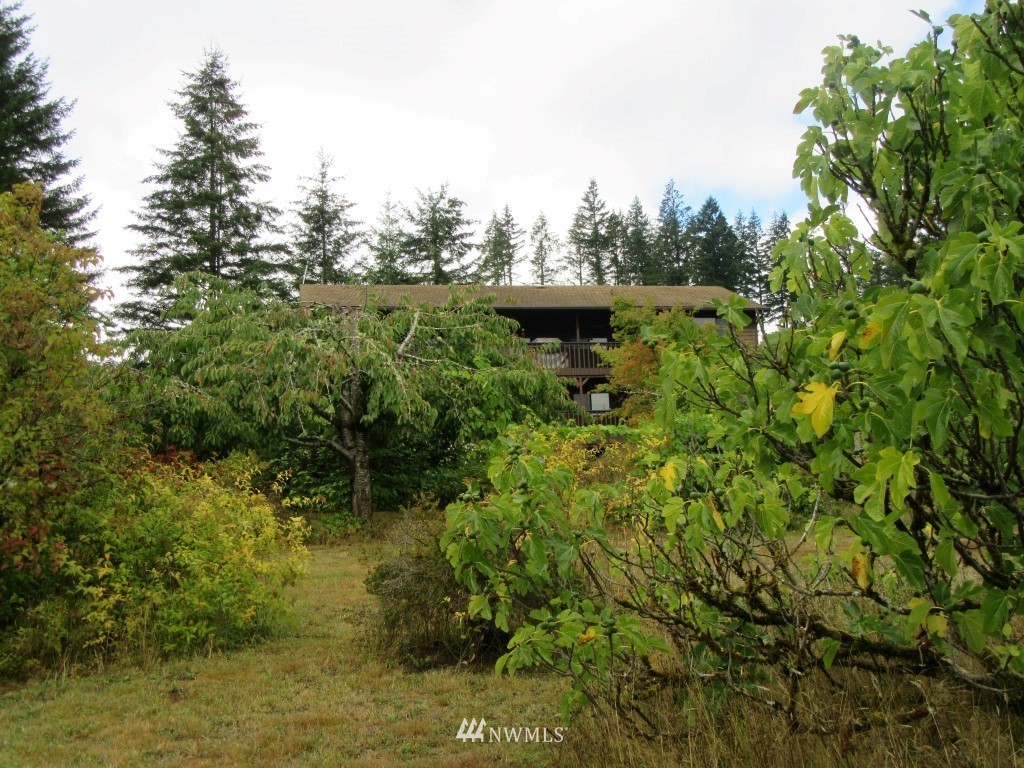 Xxx-tbd Silverthistle Road Winlock, WA 98596 - Photo 5 of 10
