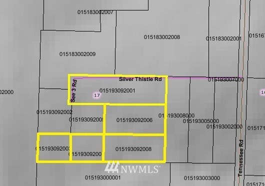 Xxx-tbd Silverthistle Road Winlock, WA 98596 - Photo 9 of 10
