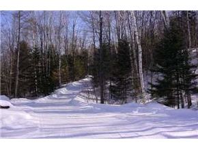 42 Millbrook Road Stark, NH 03582 - Photo 3 of 4