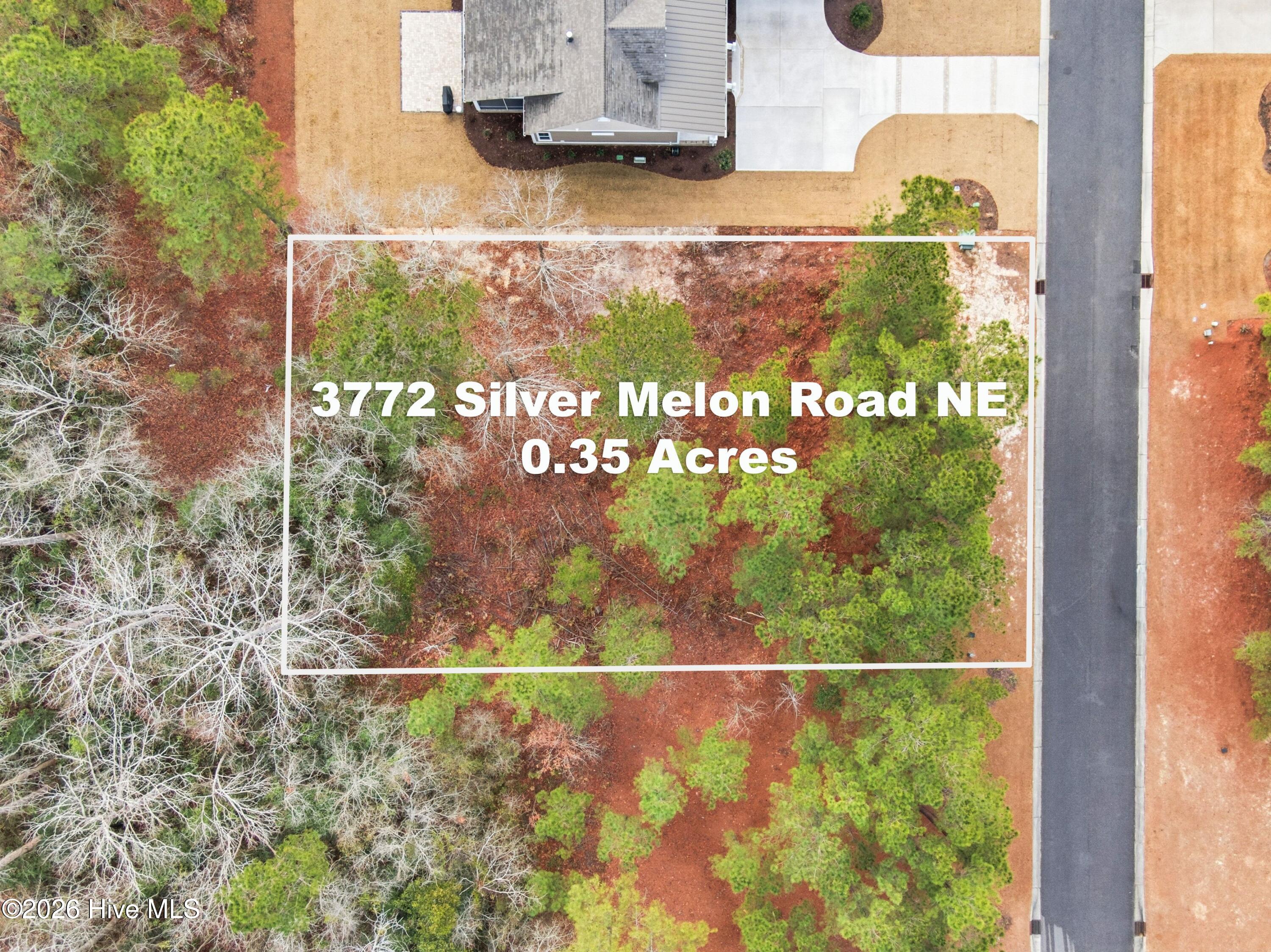 3772 Silver Melon Road Northeast Leland, NC 28451 - Photo 6 of 62 Lot lines are appoximate