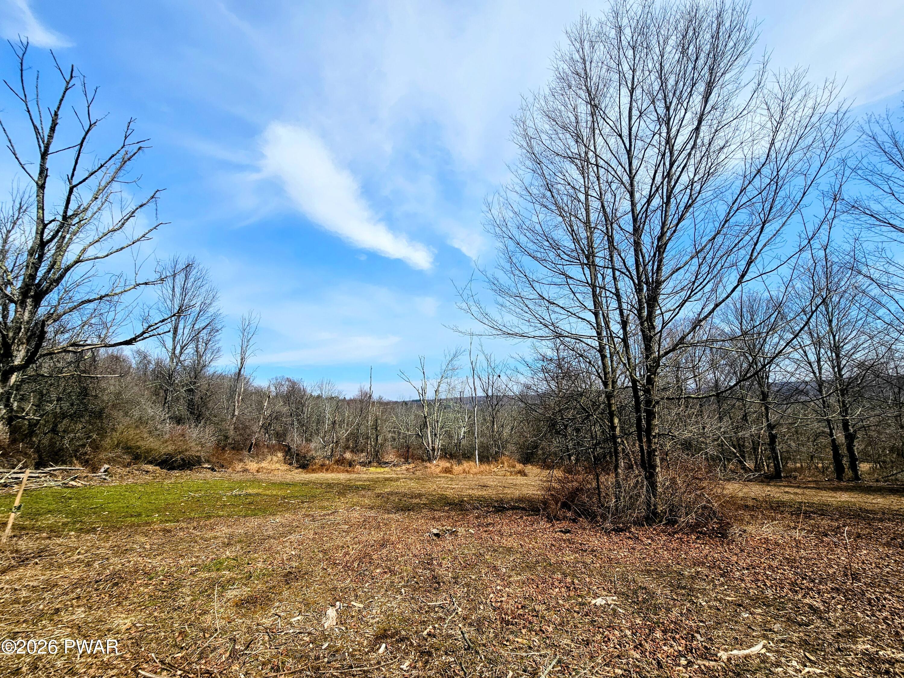 170 Zion Road Newfoundland, PA 18445 - Photo 1 of 11